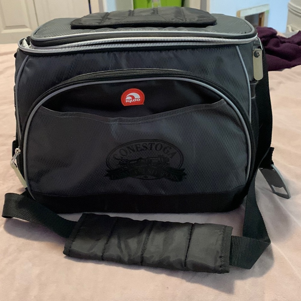 Igloo Medium Sized Thermal Cooler Bag